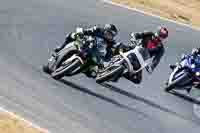 Lower Group White Bikes